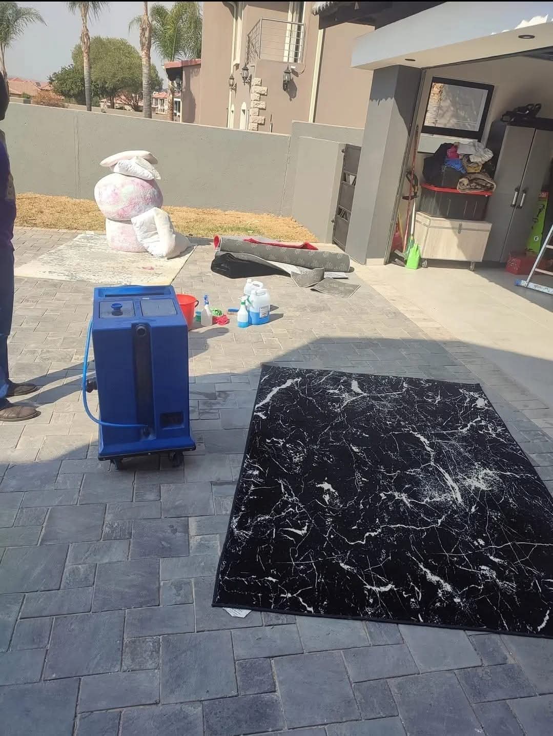 Patterned rug and Estlas cleaning equipment on a patio